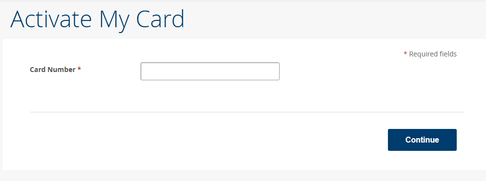Enter Your Visa Gift Card Code in the Required Field User typing the Visa gift card code into the redemption field on the website.